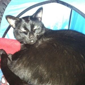 Meet your Posher, Lloyd